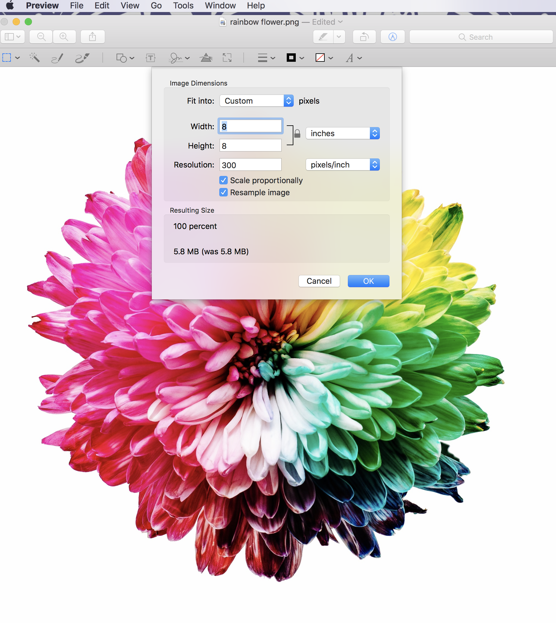 software similar to picmonkey for mac